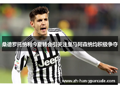 桑德罗托纳利今夏转会引关注皇马阿森纳均积极争夺