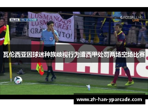 瓦伦西亚因球迷种族歧视行为遭西甲处罚两场空场比赛